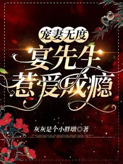 大明：家妻上将军(赵轩义沈巍)全章节在线阅读_（赵轩义沈巍）大明：家妻上将军全章节阅读