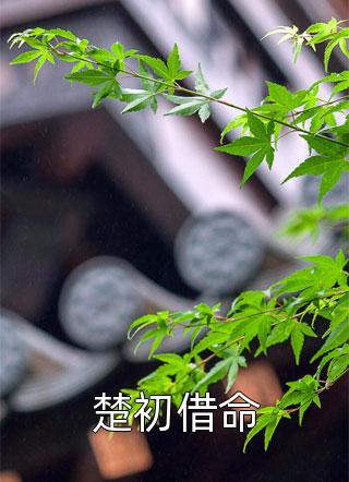 毒舌知府俏厨娘全集（姜如意徐正庭）全文免费阅读无弹窗大结局_（姜如意徐正庭）毒舌知府俏厨娘全集小说最新章节列表_笔趣阁（姜如意徐正庭）